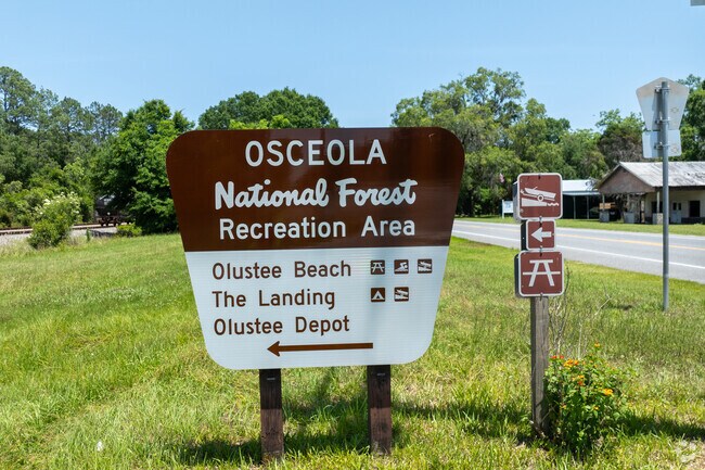 Olustee Beach is a nice recreational area to swim, fish, and picnic.
