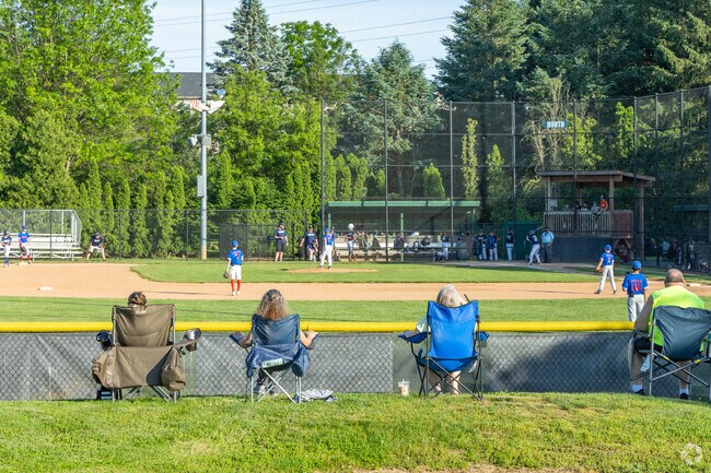Fisher Park in Upper Allen Township has 5 baseball fields that are busy with games in summer.