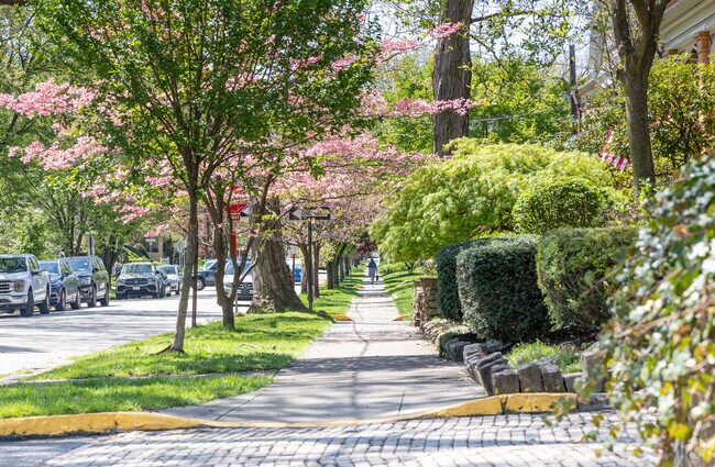 Trees line the sidewalks in Aspinwall.
