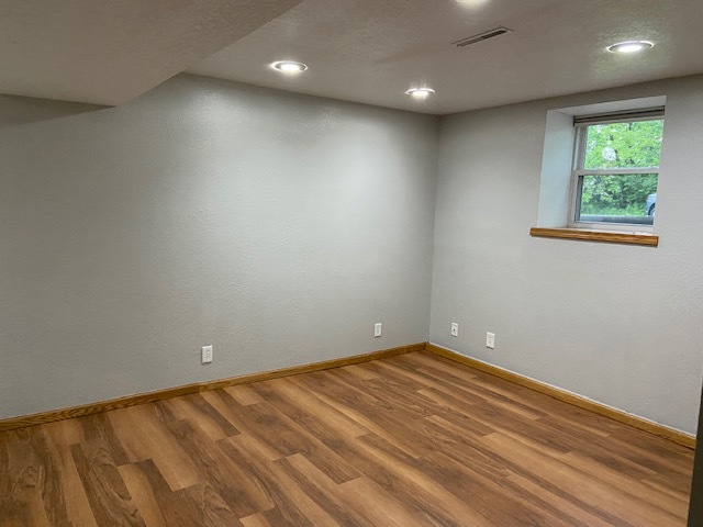 Basement Living Room