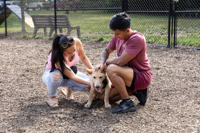 Dogs run and play freely at Creagar Dog Park, a favorite spot for Oakwood pet owners.