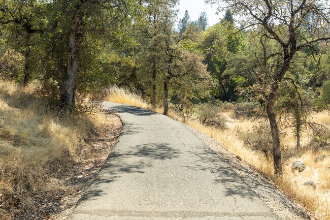 The Blue Gravel Mine Trail feels like its miles away from civilization, but it's not.