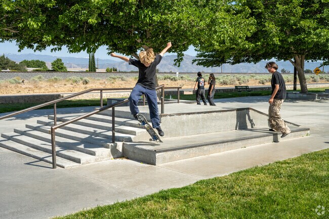 Lime Street park has it all from swimming pools to a skate park.