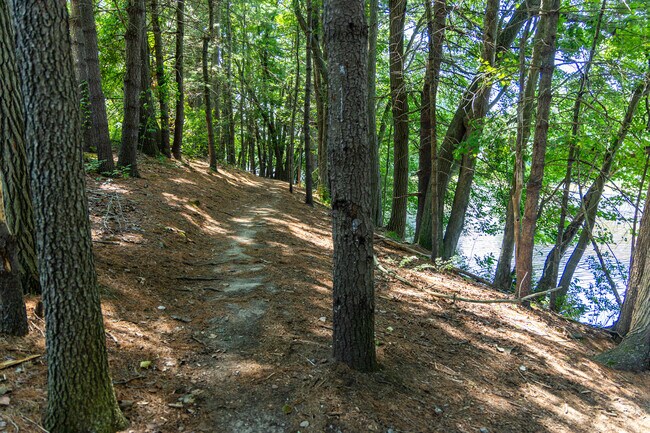 Explore the lakeside trails at the Russell Mill Pond and Town Forest in Chelmsford, MA.