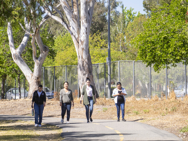 A group of locals walking around the Almaden Lake Park in the Dartmouth area.