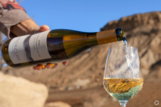 Discover the unique charm of Book Cliffs Vineyards, where stunning views meet fine wines.