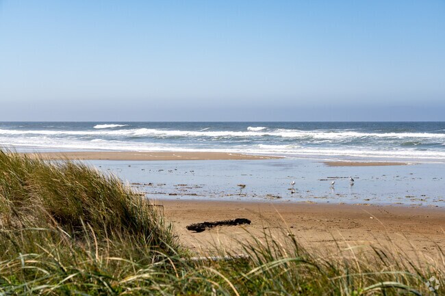 Bayshore is home to stunning beaches.