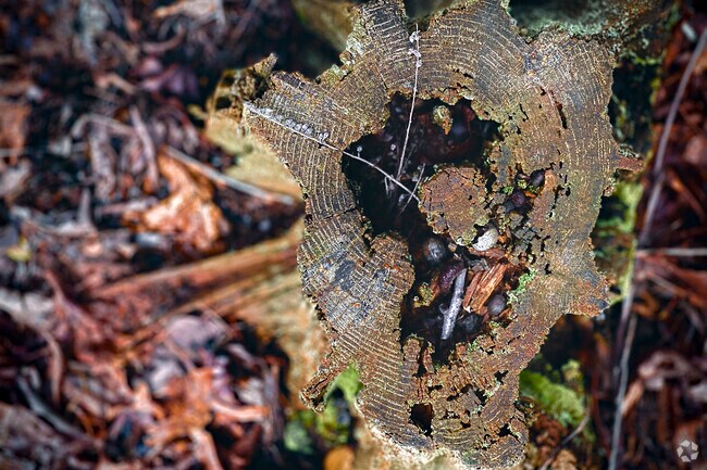 Natural beauty can be found everywhere you look in the Cleveland area open spaces.