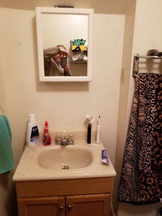 55 Jones Ave unit B, Morgantown, WV 26505 - photo 6