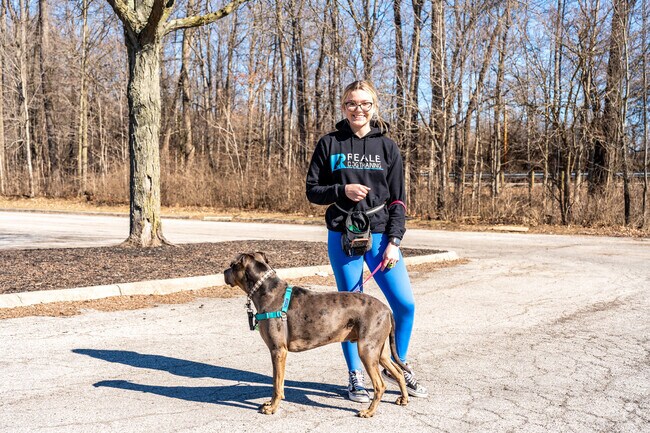Academy Park near Wexmoor has a wonderful area for training dogs.