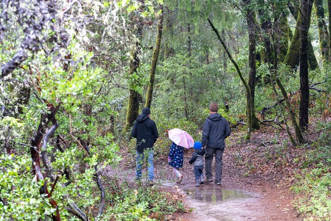Felton’s Fall Creek Unit offers 20+ miles of forest trails and fishing spots, with the Old Lime Kiln Ruin as a highlight along the winding Fall Creek Trail.