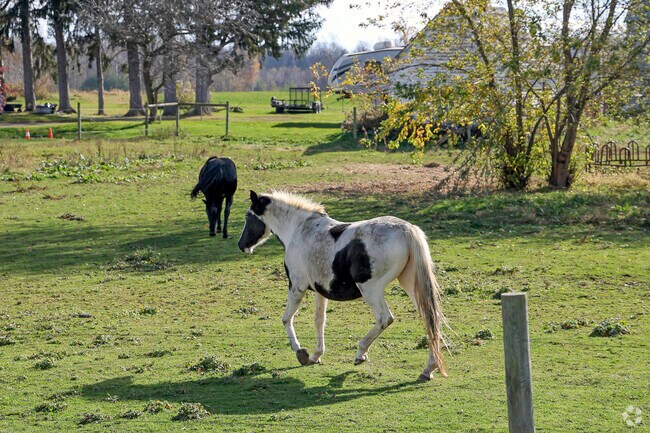 Some of the local residents of this community have more than 2 legs.