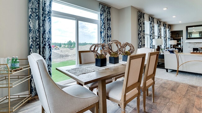 1729 Oak Creek Pass, Chaska, MN 55318 - photo 6