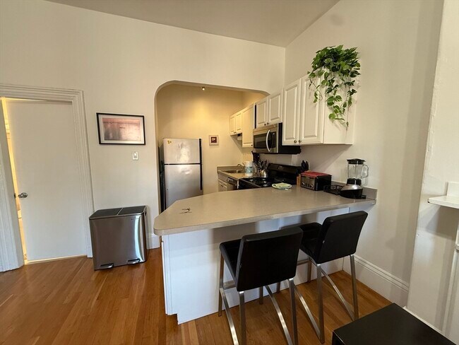 668 Tremont St unit 7, Boston, MA 02118 - photo 5
