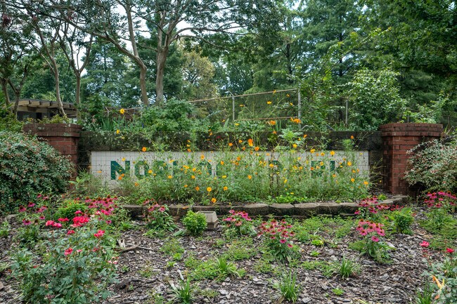 Norwood Parks has amazing floral arrangements when they are in full bloom.