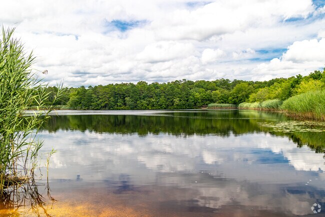 Maple Lake, located in Weymouth Township, is a 482-acre wildlife management area surrounded by state-protected forest.