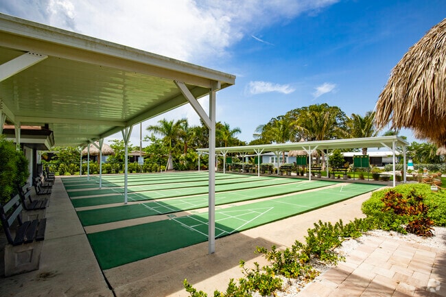 Shuffleboard courts are popular in Rubonia.