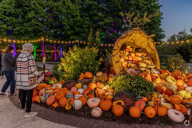 Eastgate residents can celebrate autumn at the 2024 Harvest Bloom event, featuring seasonal flowers and festive displays.