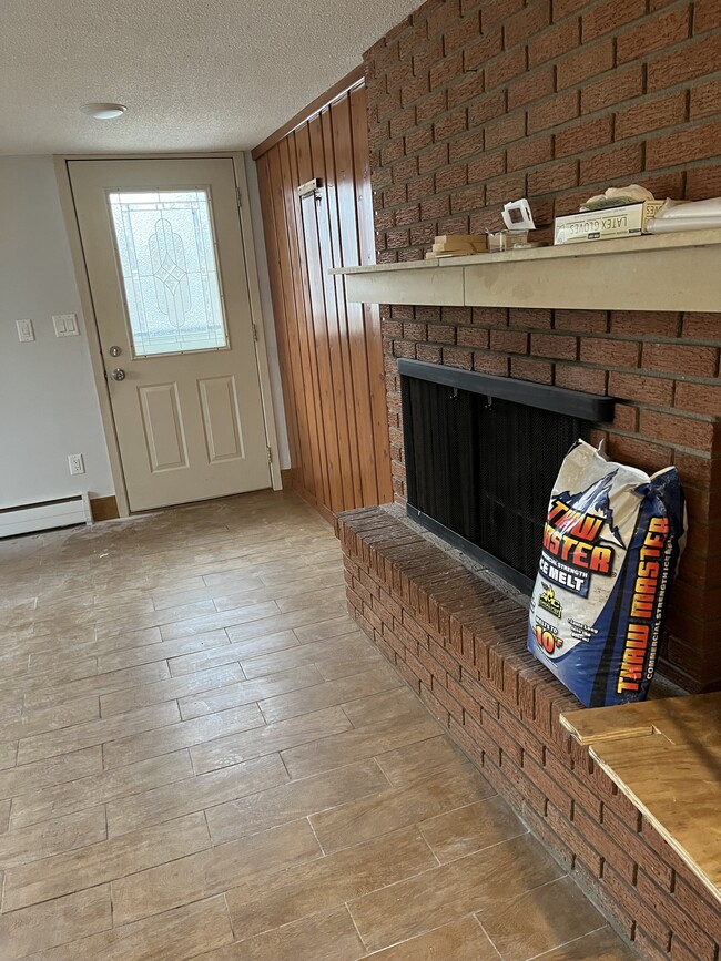 Entryway and living room fireplace