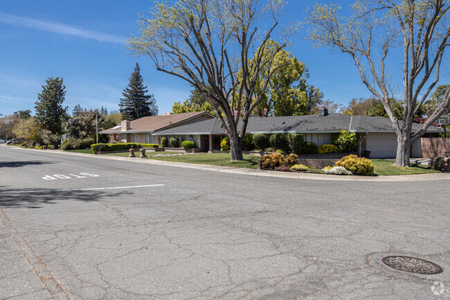 Large lots and narrow sidewalks line the streets in Wilhaggin del Dayo