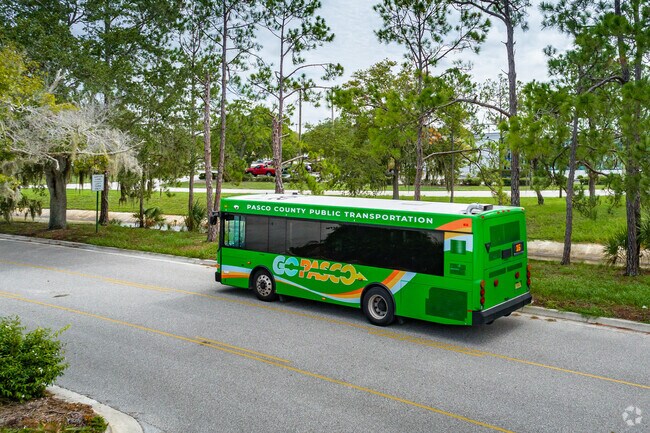 GoPasco fulfills the public transportation needs in Hudson.