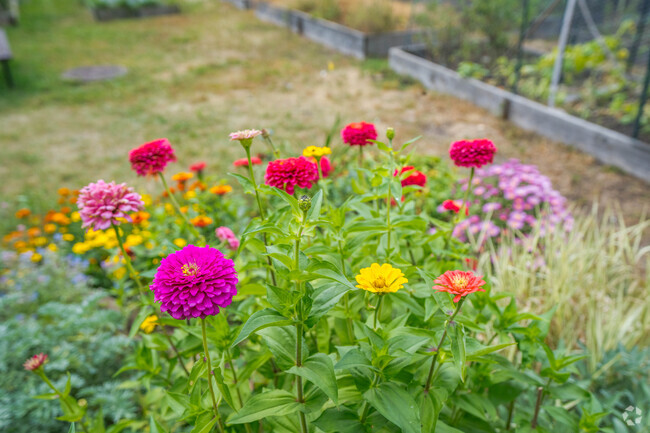 Stoltzman Park has a community garden for residents to plant their own flowers and produce.