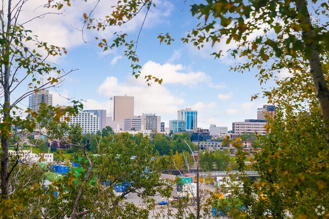 Occasional skyline views peek through trees in Government Hill.