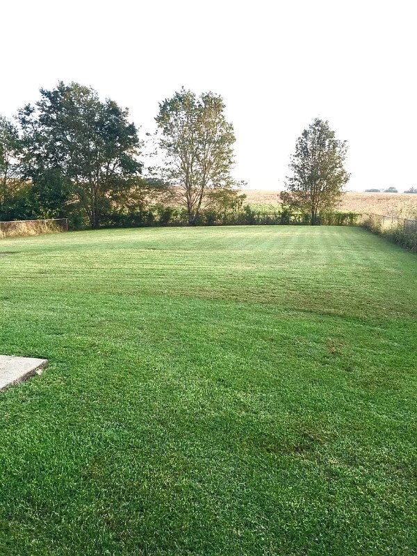 209 Bumpus Mill Rd, Oak Grove, KY 42262 - photo 4