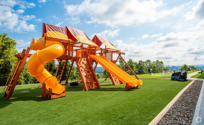 Spark Black Bear, Morgantown, WV 26501 - photo 6