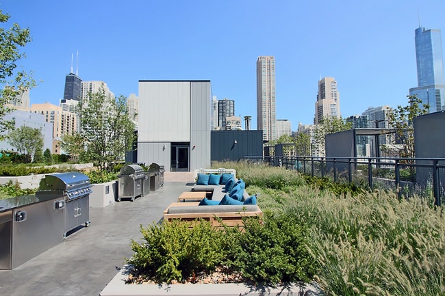 641 N Wells St, Chicago, IL 60654 - photo 7