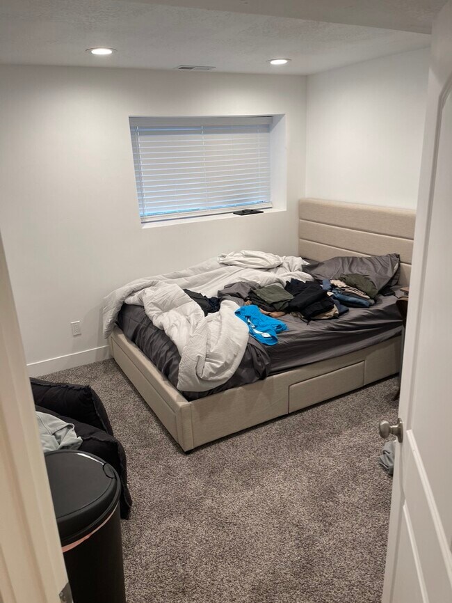 Basement Bedroom