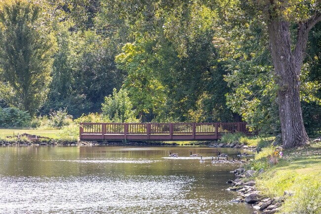 Quiet and tucked away, people come to Twin Lakes for its natural beauty and suburban charm.