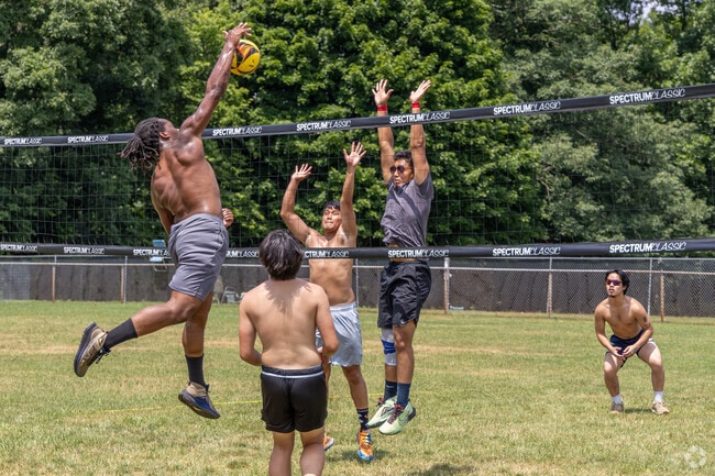 Volleyball is one of the many activities in Lawnton's Kohl Park.