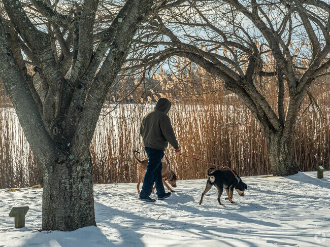 There are a variety of parks to take your animal in the Succasunna area.