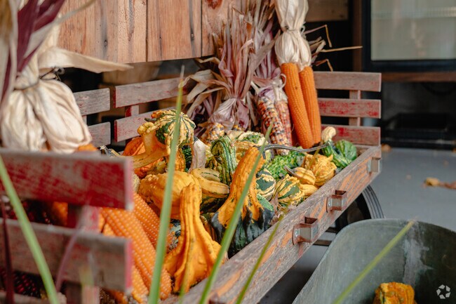 Fall colors and produce line the storefront at Houlden Farm.