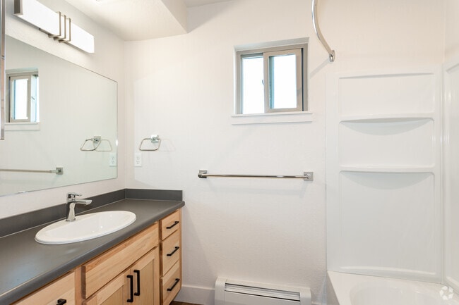 1BR, 1BA - 650SF - Bathroom