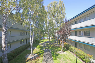 250 Del Medio Ave, Mountain View, CA 94040