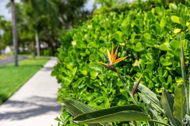 Bonita Shores communities feature attractive landscaping and tropical blooms.