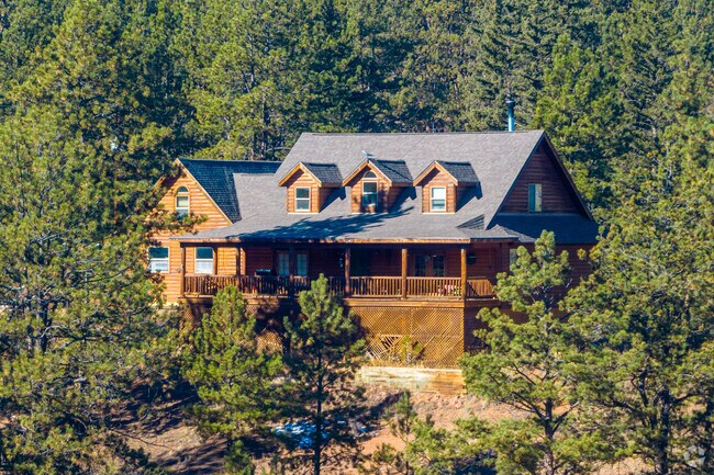 You'll find lots of large log cabin homes nestled into the pines in Florissant.