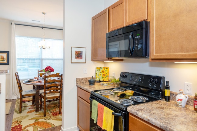 Garden Springs Apartments, Chester, VA 23831 - photo 6