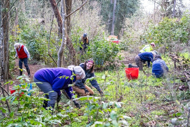 A volunteer group tends to the Hendricks Park Native Plant Garden in Laurel Hill.