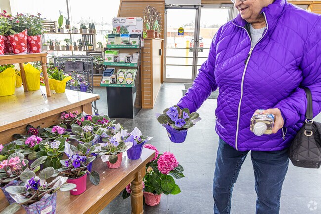 Brighten up your home with some flowers from Steins in Clayton Crest.