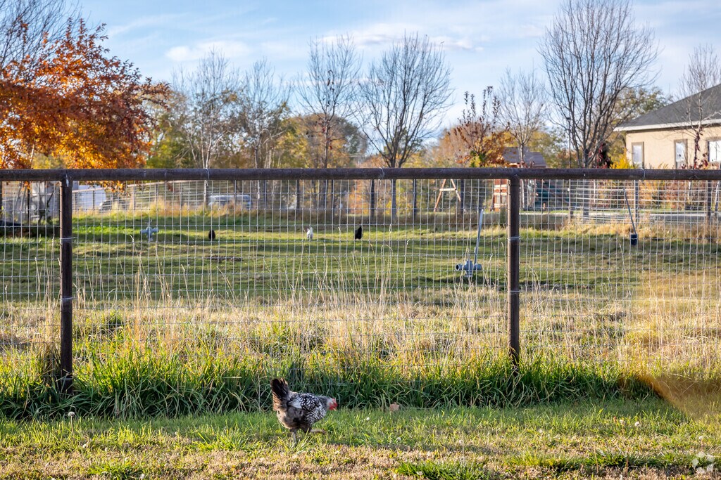 A chicken roams near a fenced yard in Wendell’s residential area.