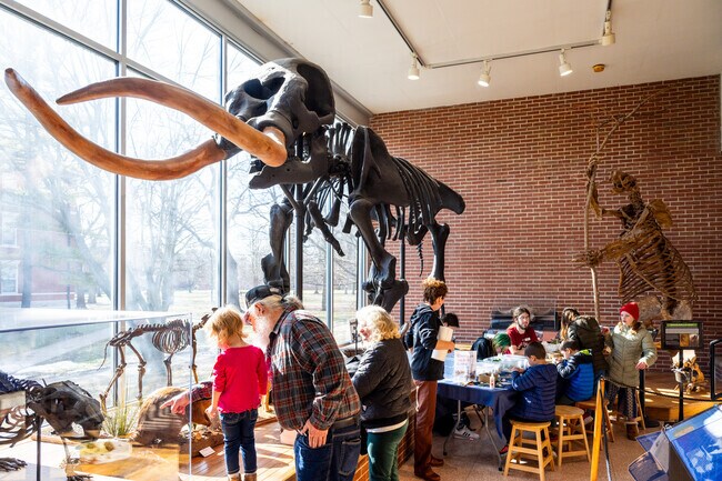 Richmond's Joseph Moore Museum at Earlham College has giant fossil skeletons on display.