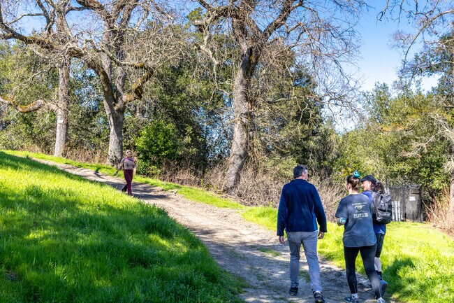 Go for a healthy afternoon hike at the Lafayette Reservoir Recreation area.