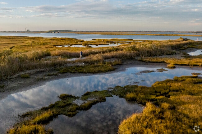 Lido Beach Passive Nature Area features a nature path to the bay, popular with bird watchers.
