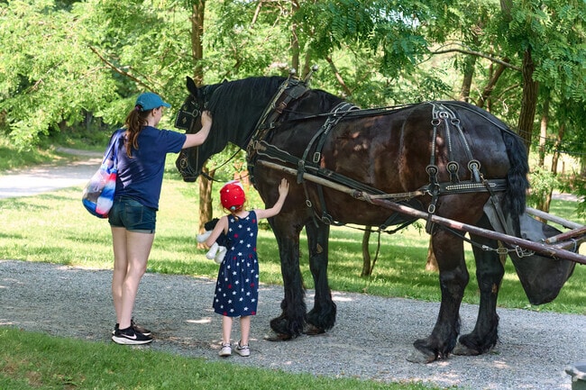 A parent and child pet a horse at Genesee Country Village’s July 4 event near Henrietta.