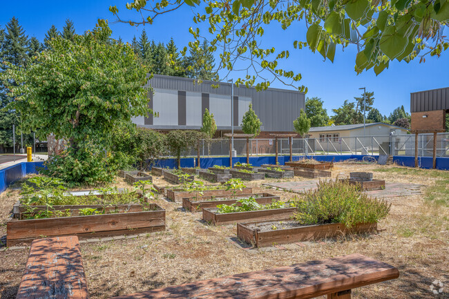 Community gardens at Minter Brown Elementary School in Hillsboro, Oregon.