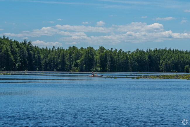 Mills Reservation has a large lake that residents of Lacy can swim and fish in.