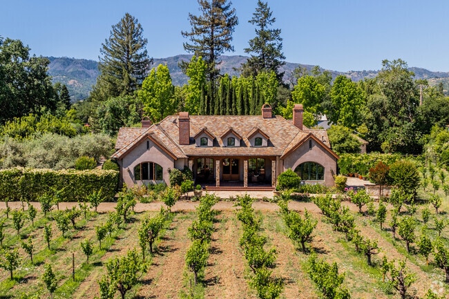 Large mansions with their very own vineyards are common in Saint Helena.